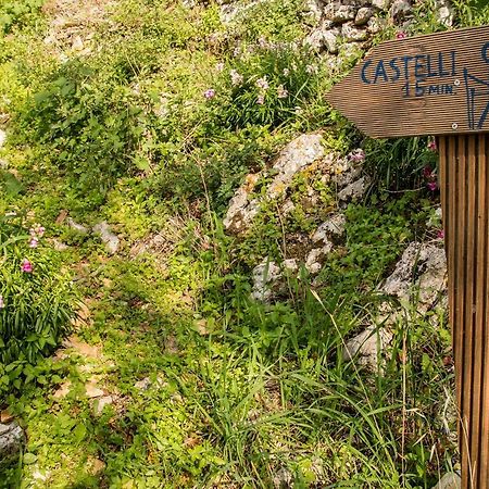 Castelli Olive Press Vendégház Aharávi Kültér fotó