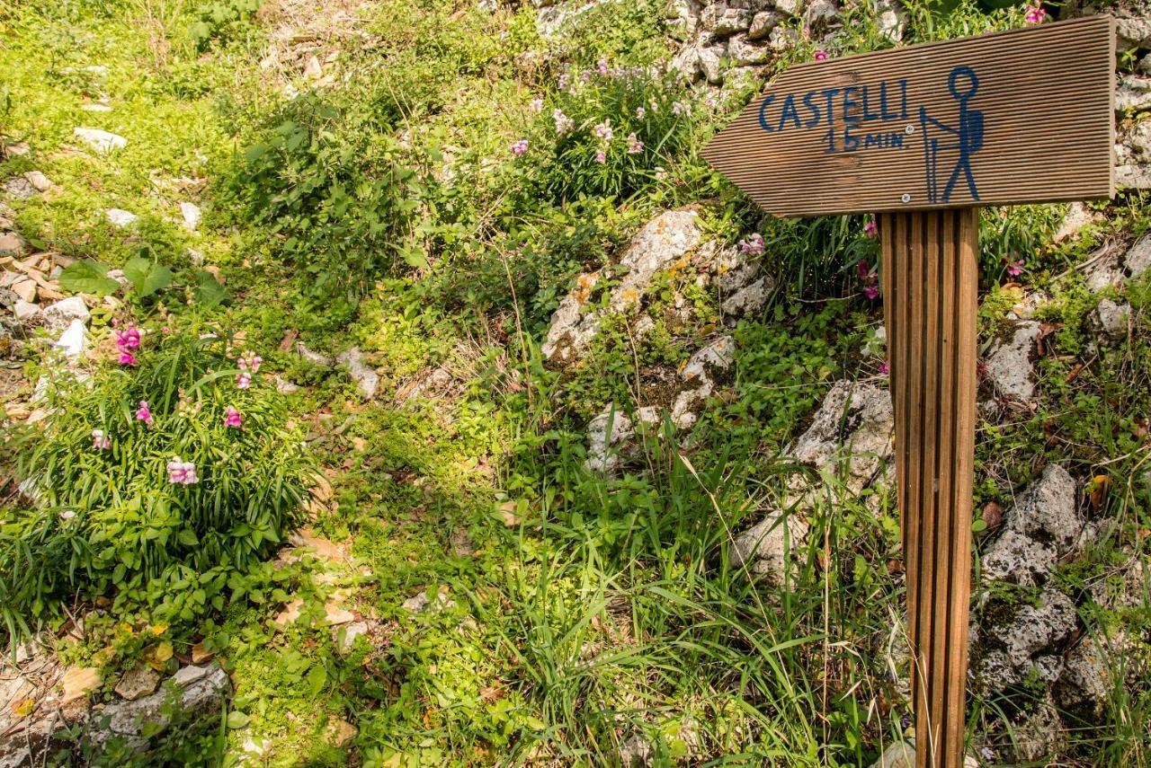 Castelli Olive Press Vendégház Aharávi Kültér fotó